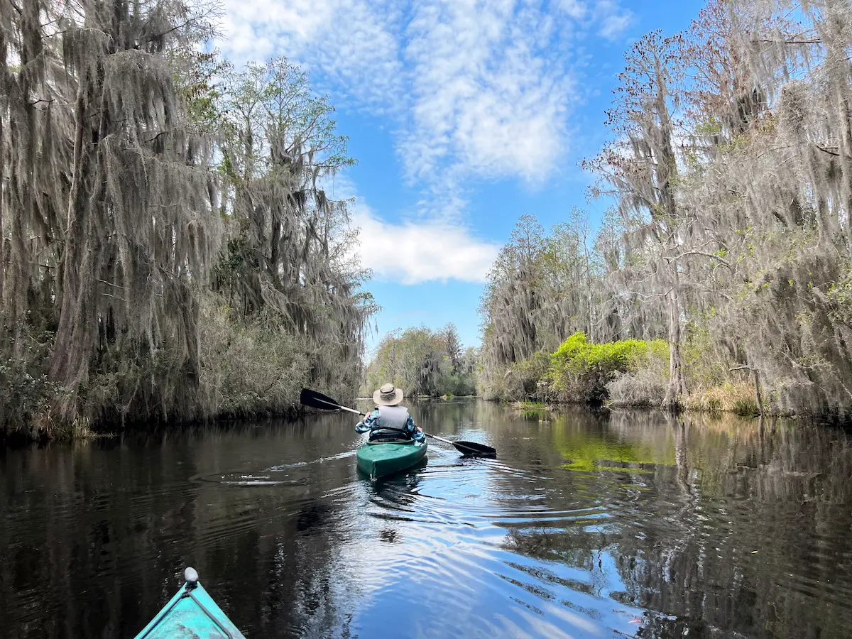 Kayaker in the Okefenokee