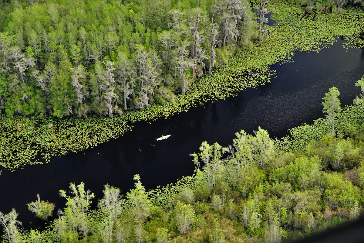 Kayaker in the Okefenokee