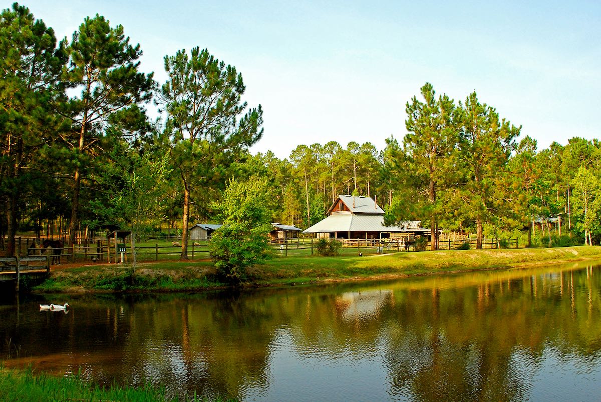 Farm at State Park