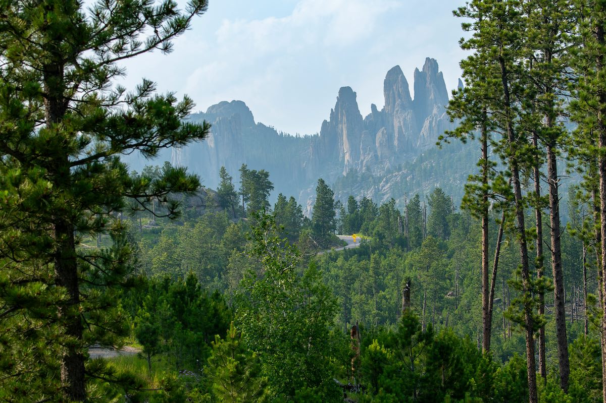 Needles in the Black Hills