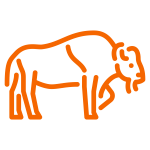 Bison Icon