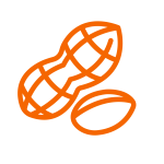 Peanut Icon