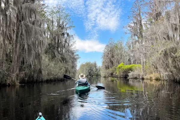Kayaker in the Okefenokee
