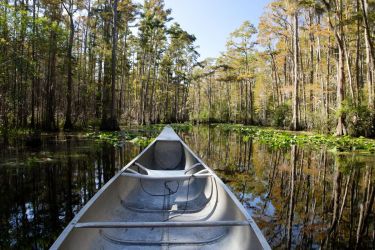 Canoe in the Okefenokee