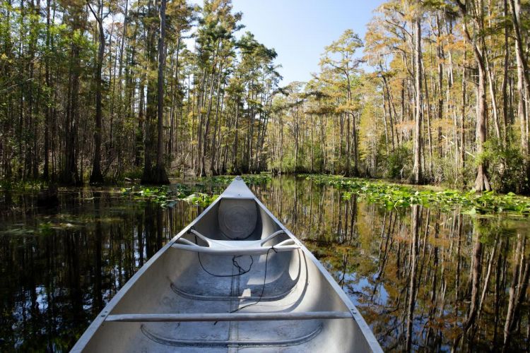 Canoe in the Okefenokee