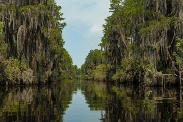 Okefenokee open canal
